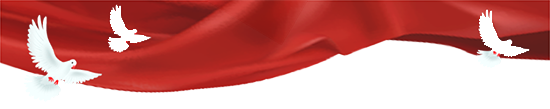 1647232204850271yB2x.png 微信圖片1.png